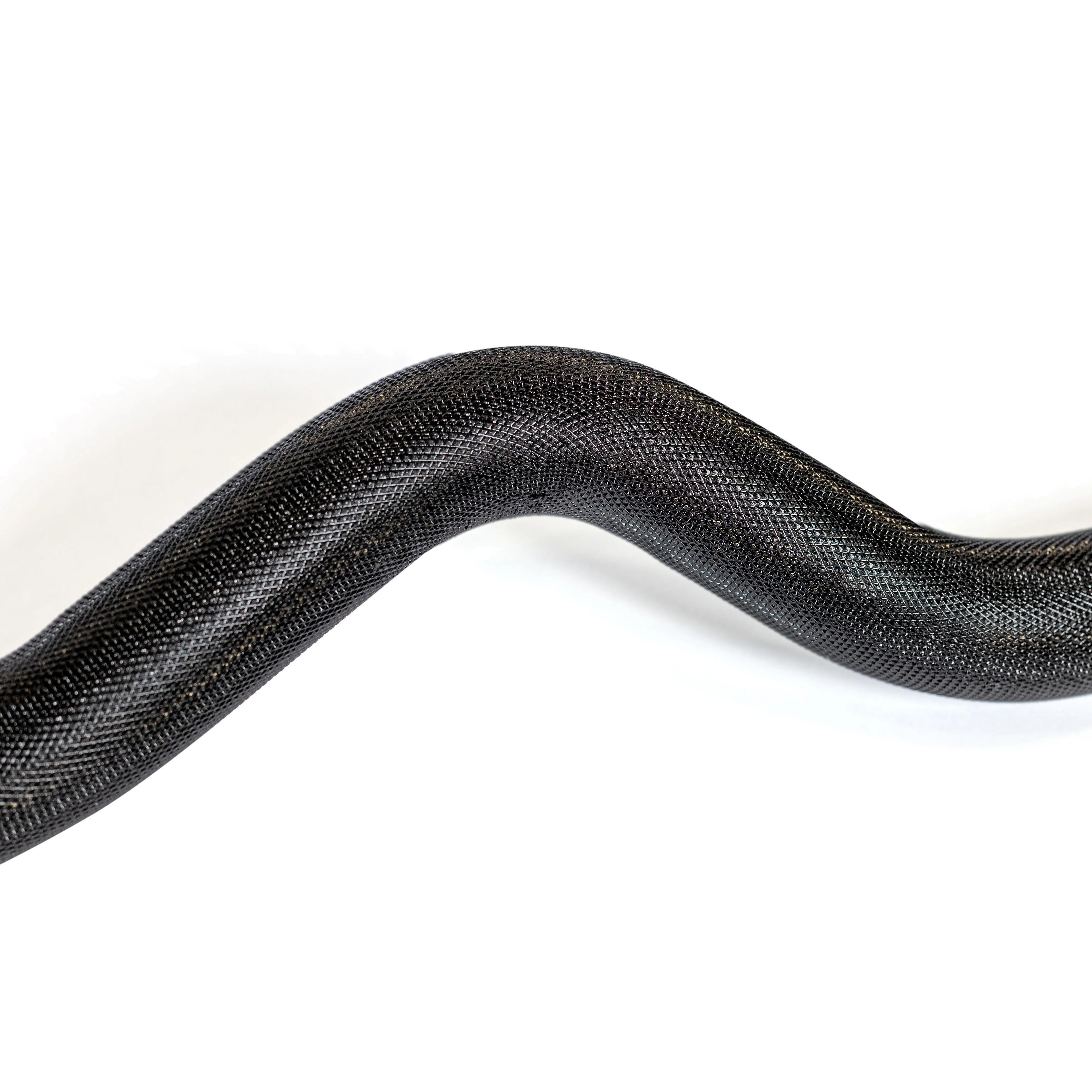 EZ Curl Bar (54.5") - Image 7