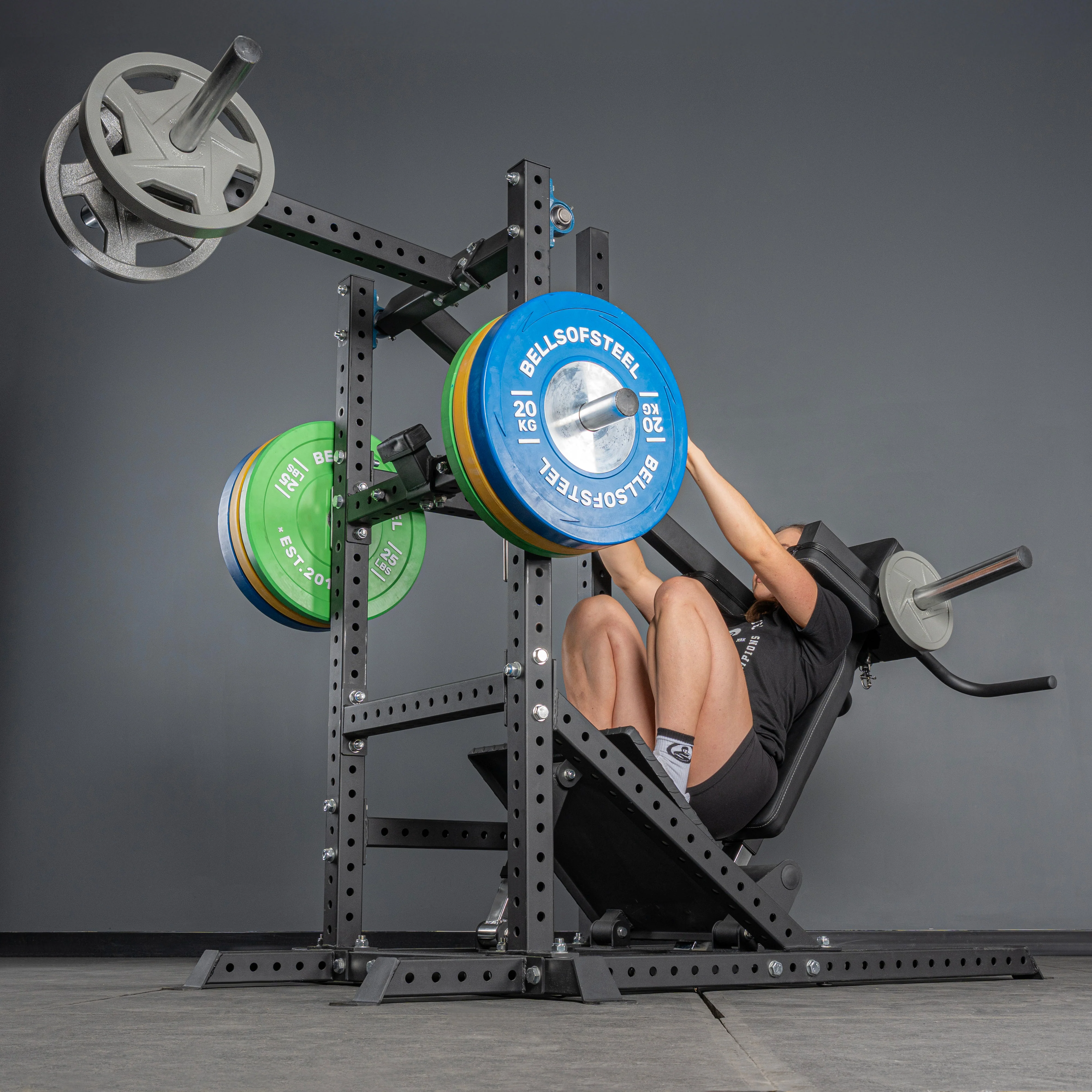 Pandemonium Squat โ 3-in-1 Pendulum Squat / Calf Press / Viking Press Machine - Image 5