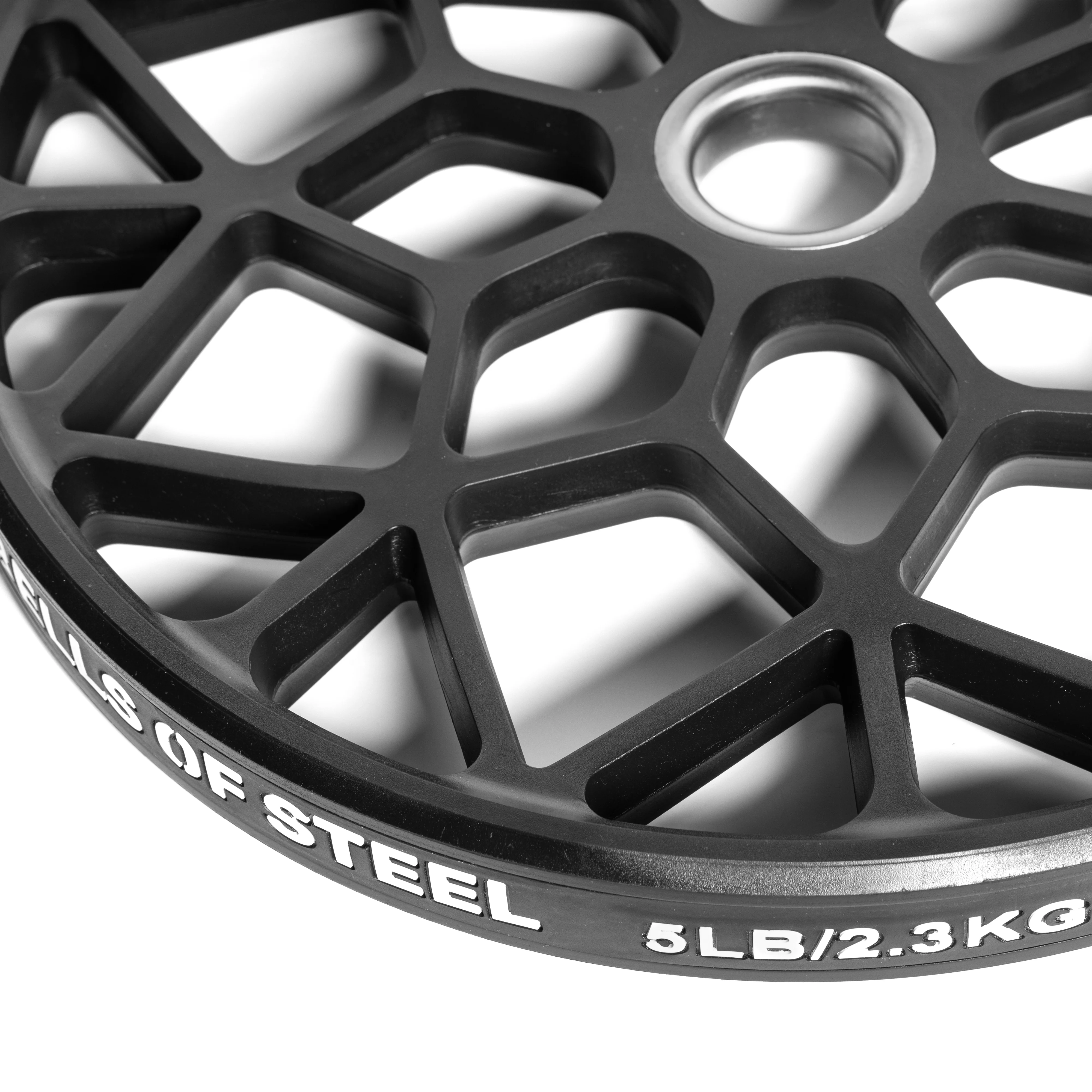 Technique Plates - 5 Lbs (Pair) - Image 8